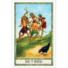 The Druidcraft Taro kortos US Games Systems