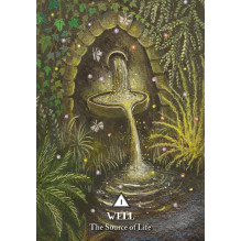 The Rooted Woman Oracle kortos Hay House The Rooted Woman Oracle kortos Hay House