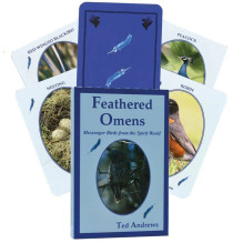 Feathered Omens Spiritual...