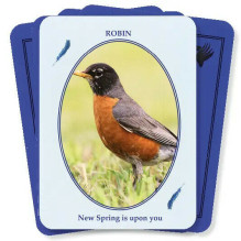 Feathered Omens Spiritual kortos Dragonhawk Publishing Feathered Omens Spiritual kortos Dragonhawk Publishing