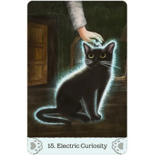 Cat Mythos & Magick Oracle kortos US Games Systems Cat Mythos & Magick Oracle kortos US Games Systems