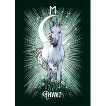 The Witch's Familiar Runic Oracle Cards Pocket Hay House The Witch's Familiar Runic Oracle Cards Pocket Hay House