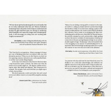 The Awakening Tarot : An Elemental Approach Kortos Schiffer Publishing The Awakening Tarot : An Elemental Approach Kortos Schiffer Publishing