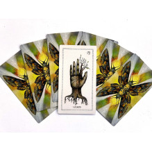 The Awakening Tarot : An Elemental Approach Kortos Schiffer Publishing The Awakening Tarot : An Elemental Approach Kortos Schiffer Publishing