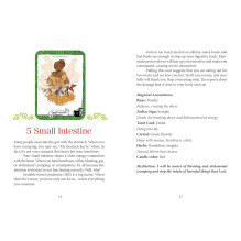 the Healthy Witch Orakulo kortos Schiffer Publishing the Healthy Witch Orakulo kortos Schiffer Publishing