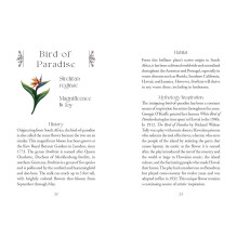 The Flowerwise Oracle kortos Schiffer Publishing The Flowerwise Oracle kortos Schiffer Publishing