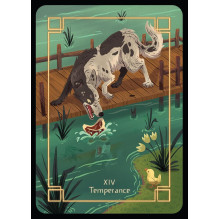 The Storyteller's Tarot Cards Hay House The Storyteller's Tarot Cards Hay House