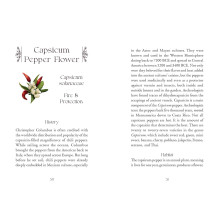 The Flowerwise Oracle kortos Schiffer Publishing The Flowerwise Oracle kortos Schiffer Publishing