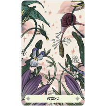 Herbana Witch Oracle kortos US Games Systems Herbana Witch Oracle kortos US Games Systems