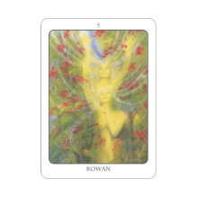 The Tree Angel Oracle kortų ir knygos rinkinys Earth Dancer The Tree Angel Oracle kortų ir knygos rinkinys Earth Dancer