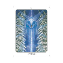 The Tree Angel Oracle kortų ir knygos rinkinys Earth Dancer The Tree Angel Oracle kortų ir knygos rinkinys Earth Dancer