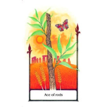 Tarot Of The Old Path rinkinys kortos ir knyga AGM Tarot Of The Old Path rinkinys kortos ir knyga AGM