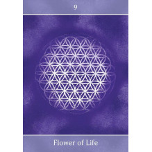 Beyond The Illusions Oracle kortos Animal Dreaming Beyond The Illusions Oracle kortos Animal Dreaming