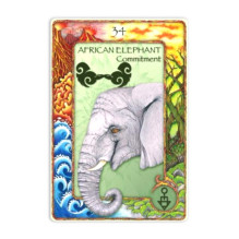 World Animal Dreaming Oracle Cards World Animal Dreaming Oracle Cards