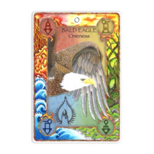 World Animal Dreaming Oracle Cards World Animal Dreaming Oracle Cards