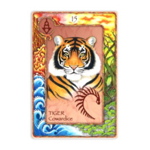 World Animal Dreaming Oracle Cards World Animal Dreaming Oracle Cards