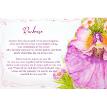 Essential Oils Oracle kortos Earth Dancer