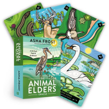 The Animal Elders Oracle kortos Hay House The Animal Elders Oracle kortos Hay House