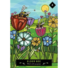 The Animal Elders Oracle kortos Hay House The Animal Elders Oracle kortos Hay House