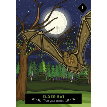 The Animal Elders Oracle kortos Hay House The Animal Elders Oracle kortos Hay House