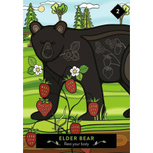 The Animal Elders Oracle kortos Hay House The Animal Elders Oracle kortos Hay House