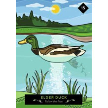The Animal Elders Oracle kortos Hay House The Animal Elders Oracle kortos Hay House