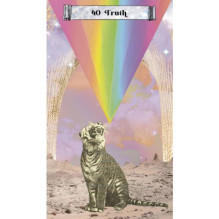 Cosmic Crossroads Oracle kortos Hay House