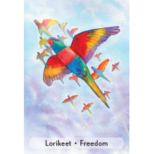 Enchanted Animal Oracle kortos Animal Dreaming