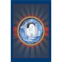 Animal Love Oracle kortos Bear and Company Animal Love Oracle kortos Bear and Company