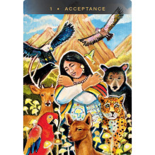 Sacred Mushroom Oracle kortos Hay House Sacred Mushroom Oracle kortos Hay House