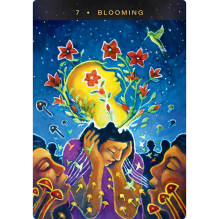Sacred Mushroom Oracle kortos Hay House Sacred Mushroom Oracle kortos Hay House