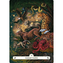 The Witch's Way Home Oracle Cards Hay House The Witch's Way Home Oracle Cards Hay House