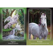 The Council of Horses Orakulo kortos Bear and Company The Council of Horses Orakulo kortos Bear and Company