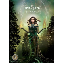 Sacred Forest Oracle kortos Hay House Sacred Forest Oracle kortos Hay House