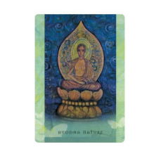 Universal Wisdom Oracle kortos Blue Angel Universal Wisdom Oracle kortos Blue Angel