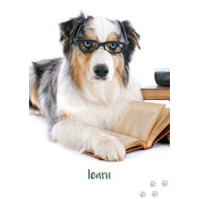 Inspirational kortos Dog Wisdom Blue Angel Inspirational kortos Dog Wisdom Blue Angel