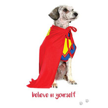 Inspirational kortos Dog Wisdom Blue Angel Inspirational kortos Dog Wisdom Blue Angel