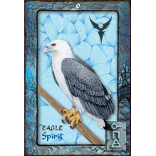 Animal Dreaming Oracle kortos Blue Angel Animal Dreaming Oracle kortos Blue Angel