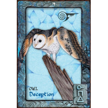 Animal Dreaming Oracle kortos Blue Angel Animal Dreaming Oracle kortos Blue Angel