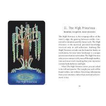 the Animystic Tarot Cards by Schiffer Publishing