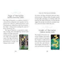 the Animystic Tarot kortos Schiffer Publishing the Animystic Tarot kortos Schiffer Publishing