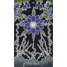 the Animystic Tarot Cards by Schiffer Publishing