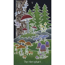 the Animystic Tarot Cards by Schiffer Publishing