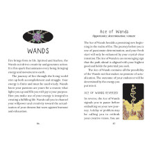 the Animystic Tarot Cards by Schiffer Publishing