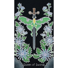 the Animystic Tarot Cards by Schiffer Publishing