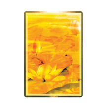 Wisdom of the Golden Path Oracle kortos Blue Angel Wisdom of the Golden Path Oracle kortos Blue Angel