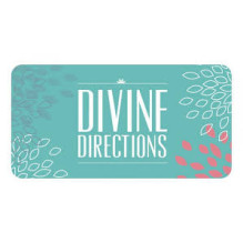 Inspirational Divine Directions kortos US Games Systems Inspirational Divine Directions kortos US Games Systems