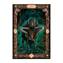 Power Of The Runes kortos US Games Systems