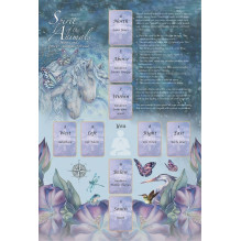 Spirit Of The Animals Oracle kortos US Games Systems Spirit Of The Animals Oracle kortos US Games Systems