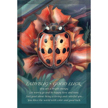 Spirit Of The Animals Oracle kortos US Games Systems